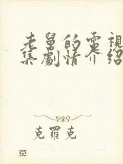 老舅的电视剧分集剧情介绍