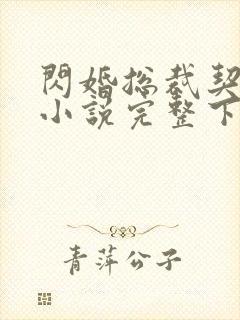 闪婚总裁契约妻小说完整下载