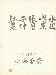 肚子胀喝水都胀是什么原因