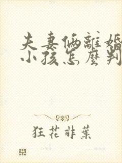 夫妻俩离婚两个小孩怎么判封面