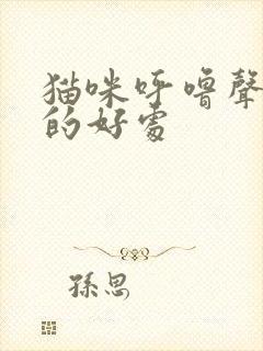 猫咪呼噜声对人的好处