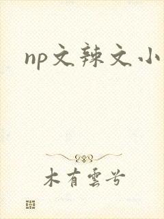 np文辣文小说