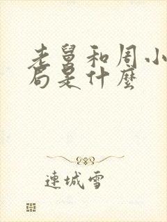 老舅和周小姐结局是什么