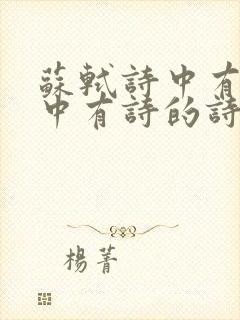 苏轼诗中有画画中有诗的诗句