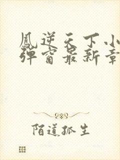 凤逆天下小说无弹窗最新章节