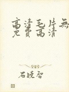 高清毛片无遮挡免费高清