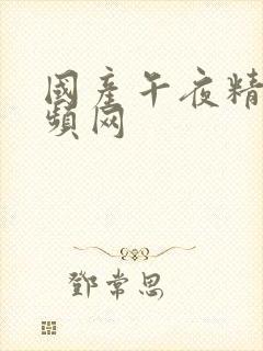 国产午夜精品视频网