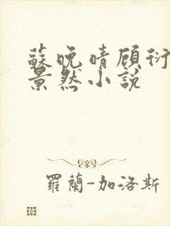 苏晚晴顾衍辰江景然小说