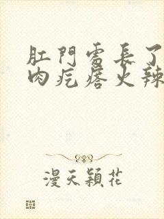 肛门处长了一个肉疙瘩火辣辣疼