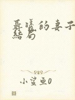 聂曦的妻子真实结局封面