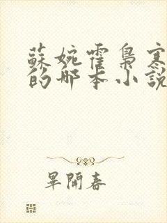 苏婉霍枭寒模仿的哪本小说