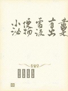 小便处有黄色分泌物流出是怎么回事