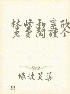 林峰和宁欣小说免费阅读全本下载