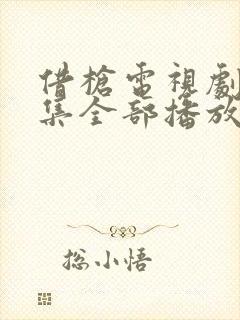 借枪电视剧40集全部播放封面