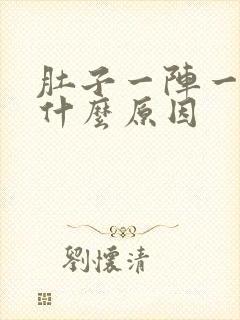 肚子一阵一阵痛什么原因