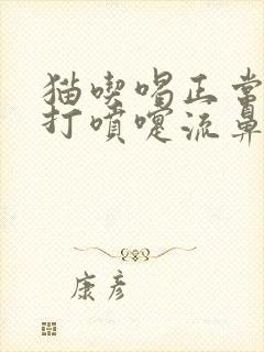 猫吃喝正常就是打喷嚏流鼻涕