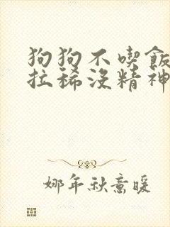 狗狗不吃饭呕吐拉稀没精神怎么办封面