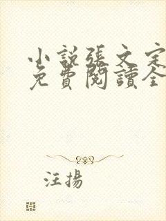 小说张文定徐莹免费阅读全文