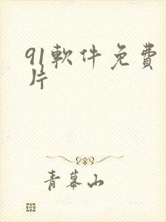 91软件免费看片