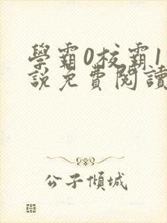 学霸0校霸1小说免费阅读