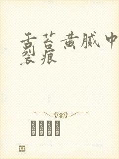 舌苔黄腻中间有裂痕