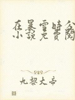 在暴雪时分原著小说免费阅读