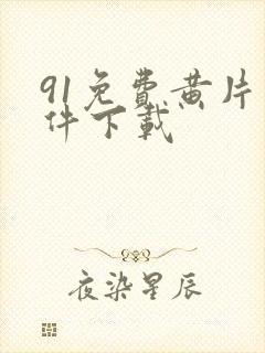 91免费黄片软件下载