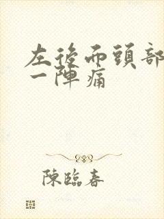 左后面头部一阵一阵痛