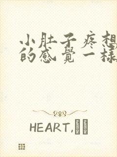 小肚子疼想拉屎的感觉一样怎么回事