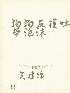 狗狗反复吐黄水带泡沫