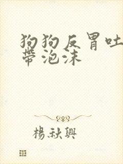 狗狗反胃吐黄水带泡沫