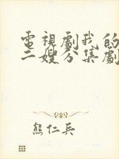 电视剧我的二哥二嫂分集剧情介绍