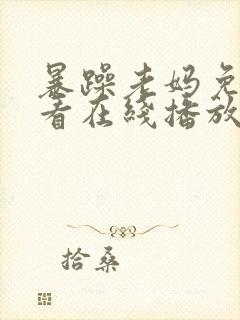 暴躁老妈免费观看在线播放电视剧全