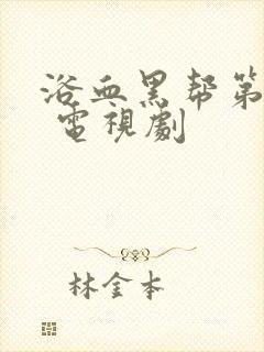 浴血黑帮第六季 电视剧封面