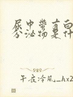 尿中带有白色的分泌物是什么原因