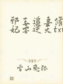 邪王追妻修罗狂妃要逆天txt封面