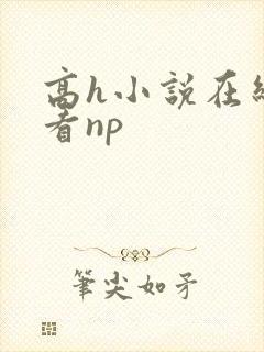 高h小说在线观看np