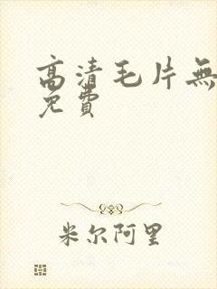 高清毛片无遮挡免费
