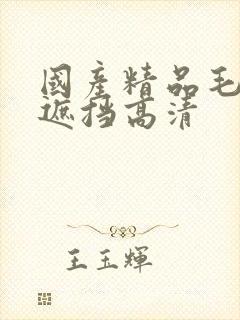 国产精品毛片无遮挡高清