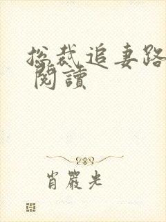 总裁追妻路漫漫 阅读