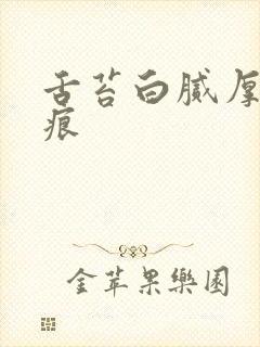 舌苔白腻厚的齿痕封面