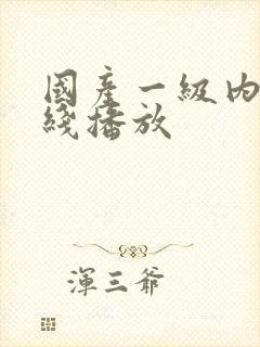 国产一级内射在线播放