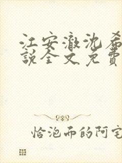 江安澈沈希瑶小说全文免费阅读