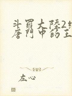 斗罗大陆2绝世唐门中的王冬封面