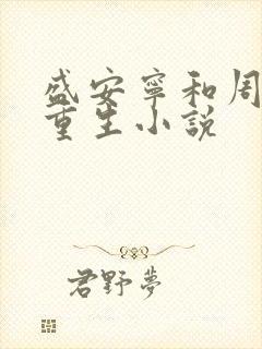 盛安宁和周时勋重生小说封面