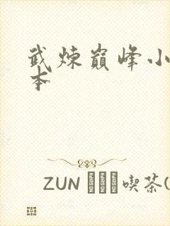 武炼巅峰小说完本封面