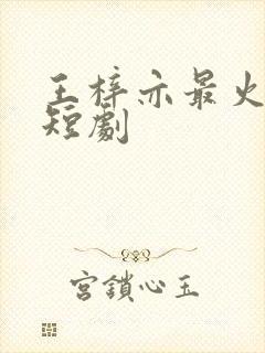 王梓亦最火十部短剧封面