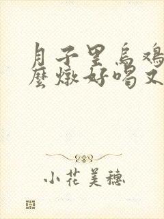 月子里乌鸡汤怎么炖好喝又营养