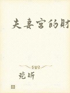 夫妻宫的财帛宫封面