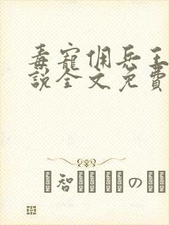 毒宠佣兵王妃小说全文免费阅读